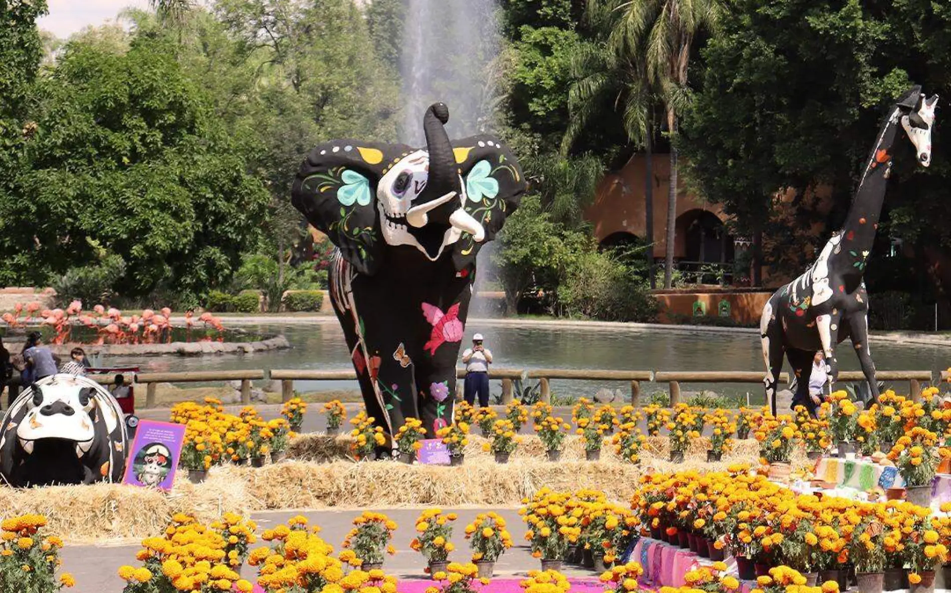 zoológico Día Muertos